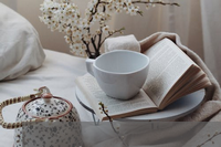 拖盘车图片大全(青岛捷能汽轮机的盘车如何投运?高手指点(那种首轮是圆形的,旁边有个小圆形的手柄))